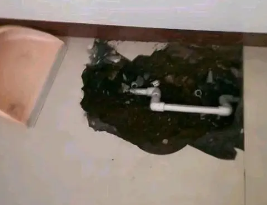 永安卫生间测漏水多少钱
